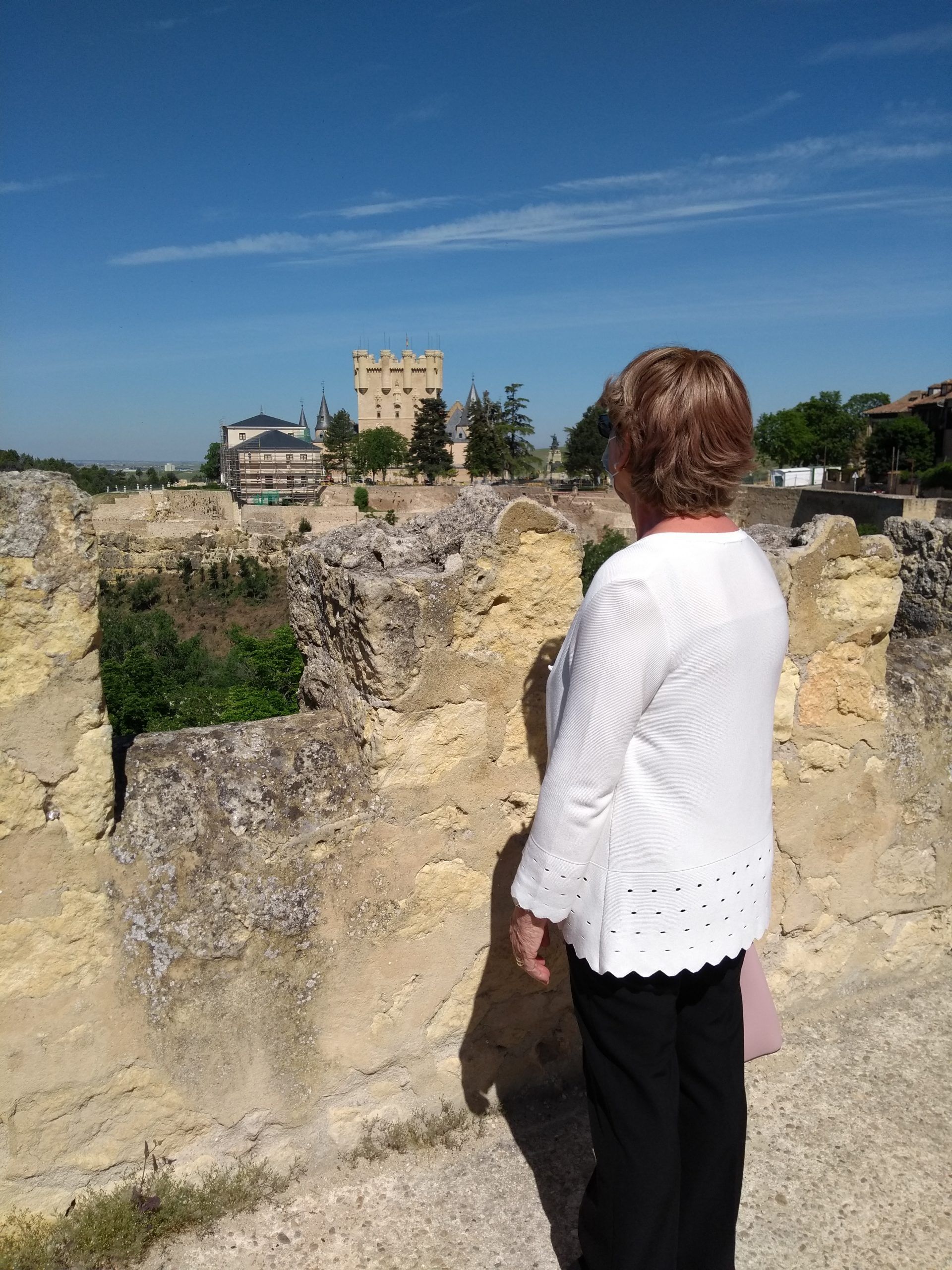 mirando el alcazar